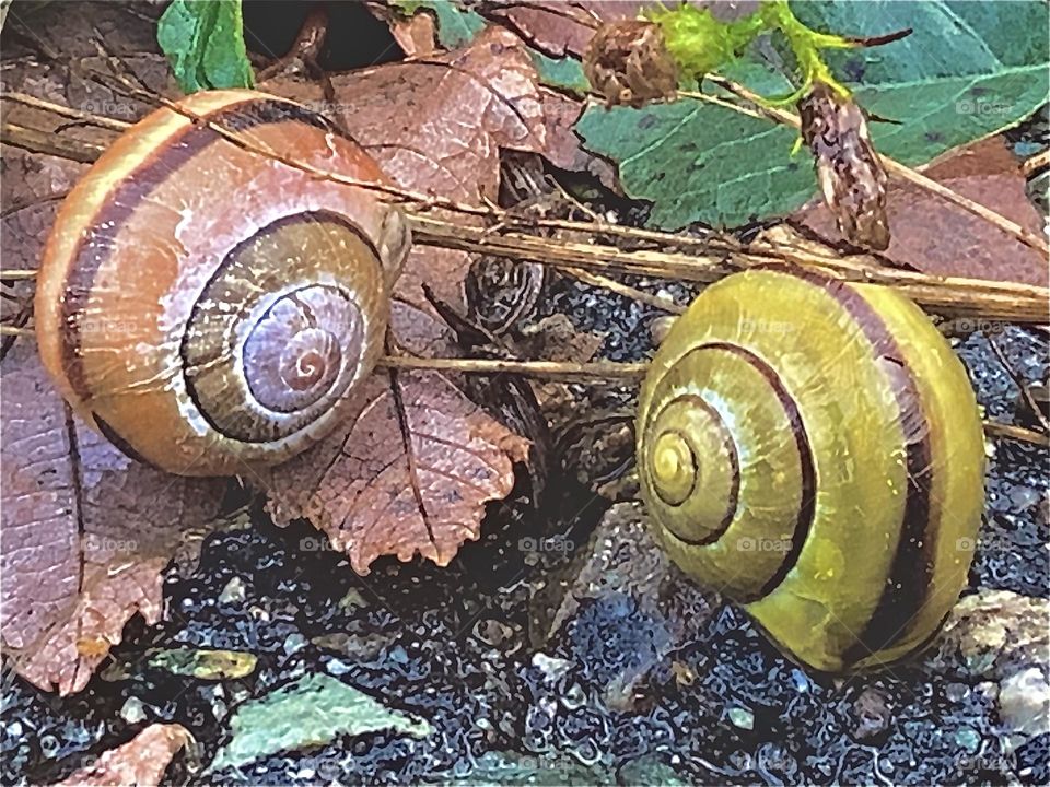What were the odds on this beautiful sight?  On  a random field in the middle of nowhere, I found them