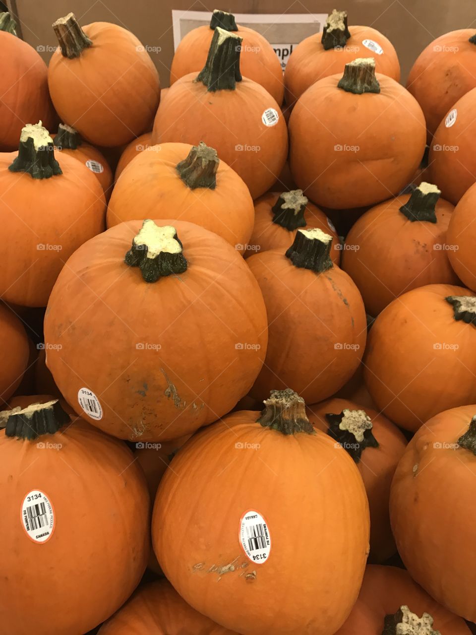 Piles of little pumpkins