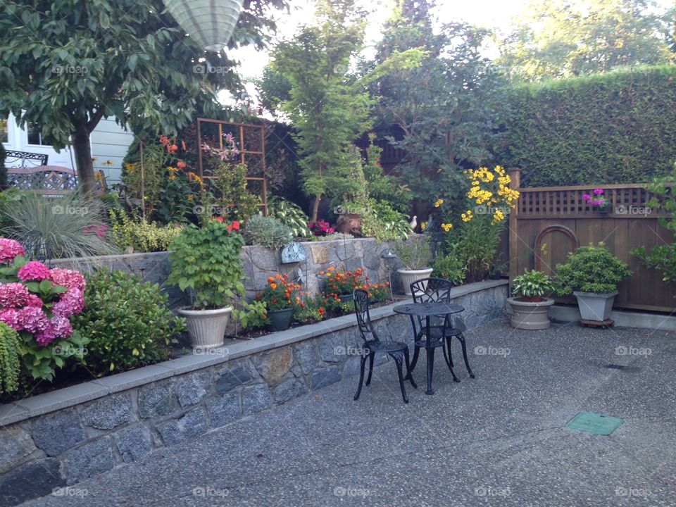 Backyard serenity