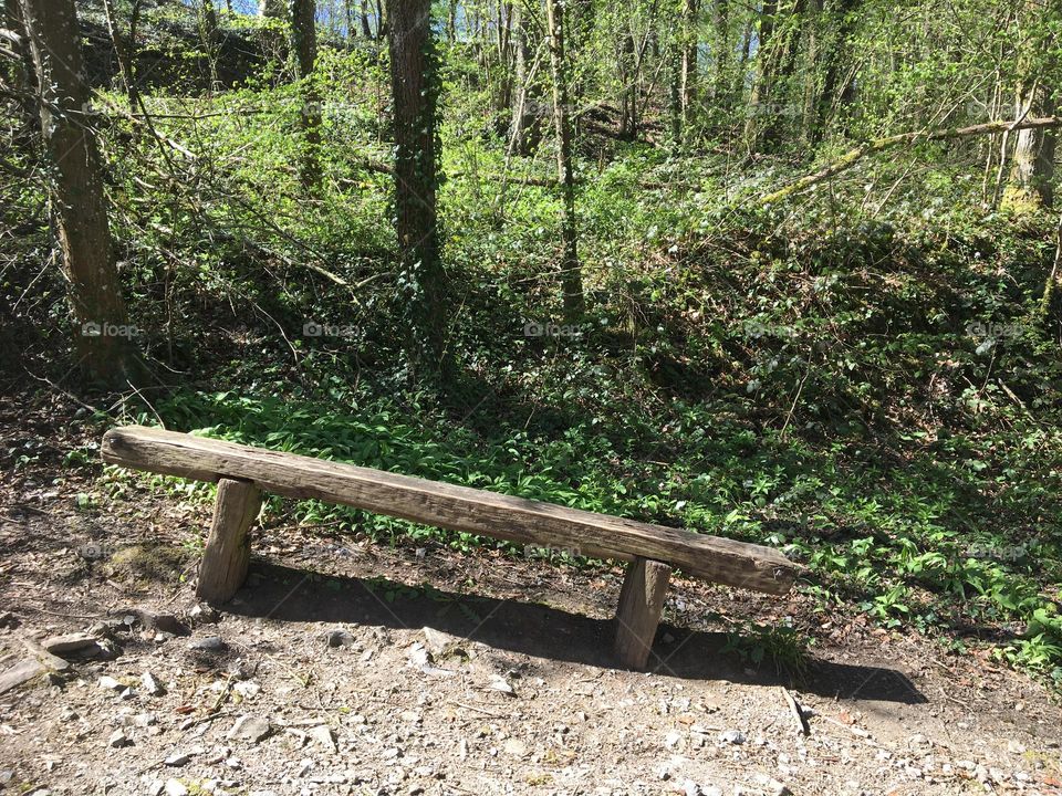 The bench that leans 