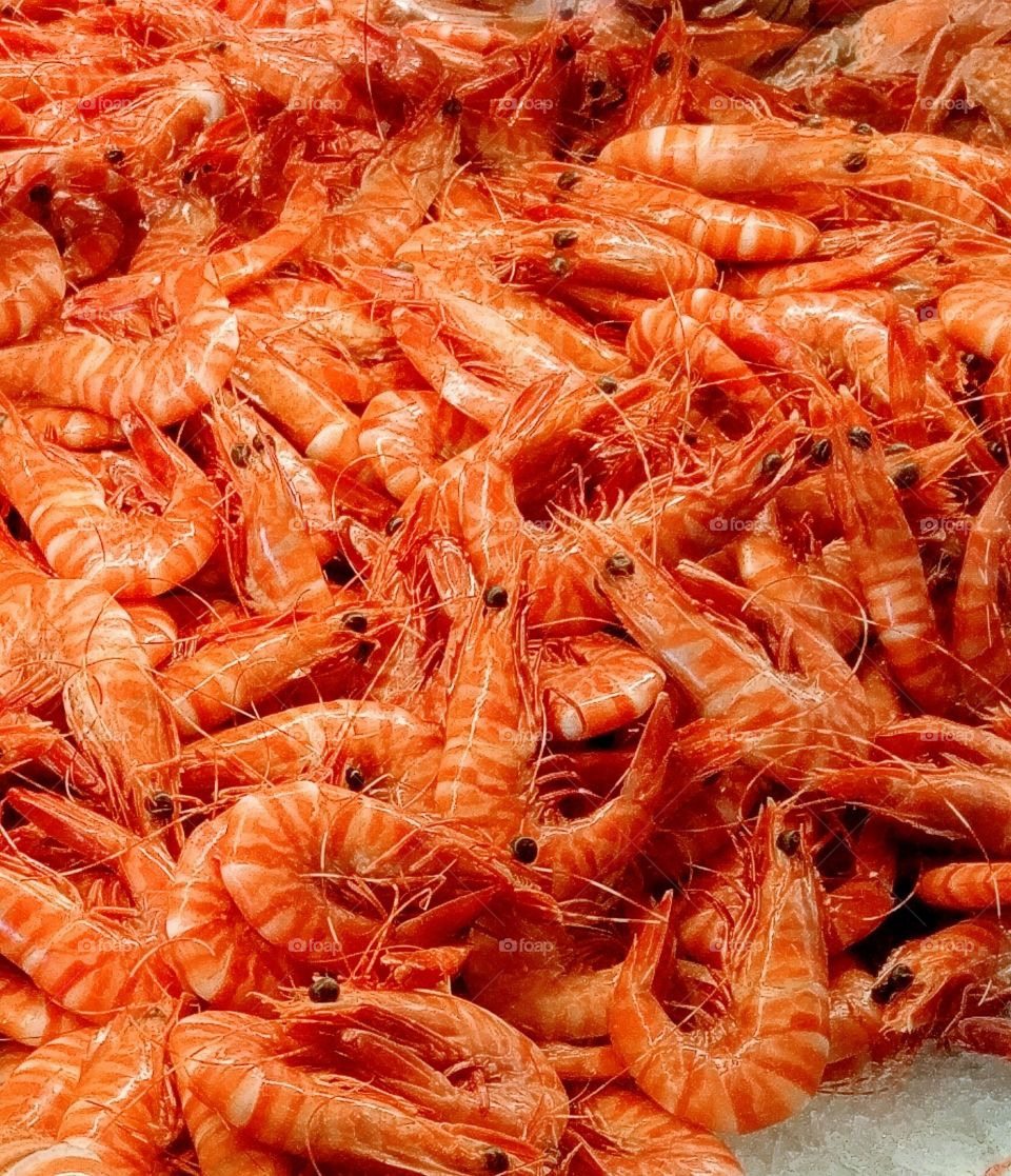 Full frame shot of Prawns