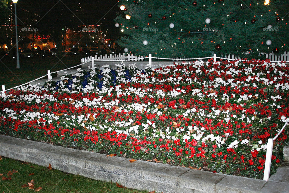 American flag with flowers 