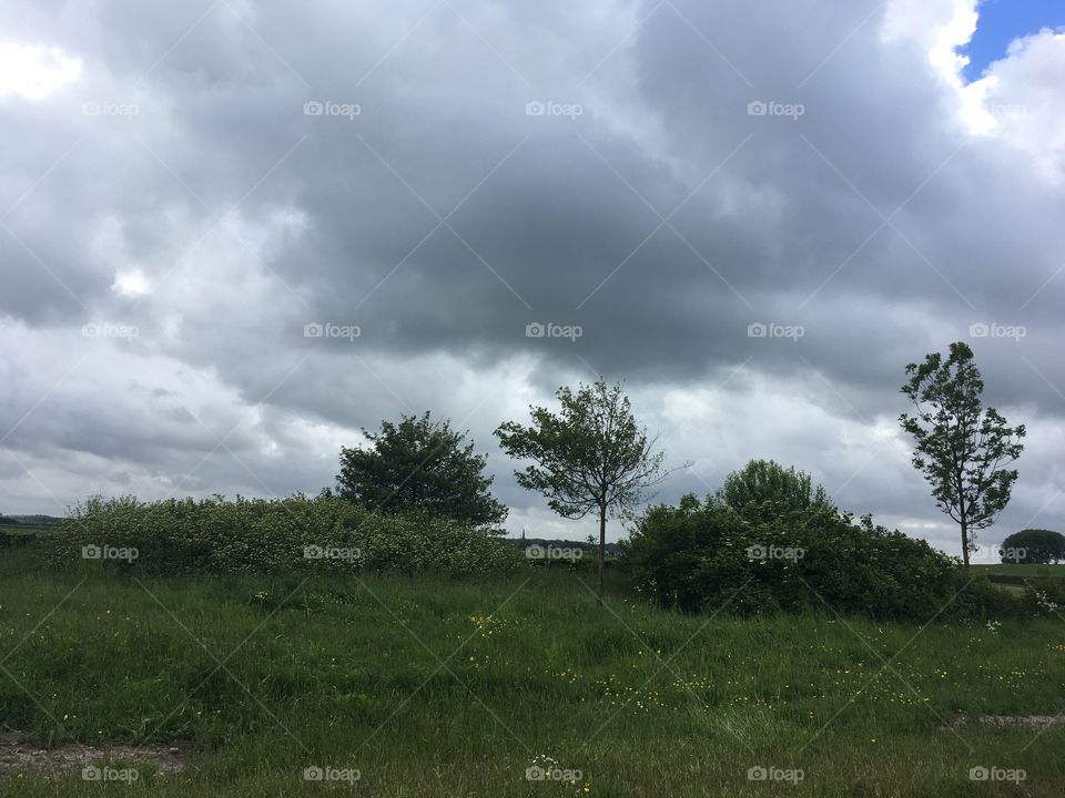 Green en white nature and sky clouds the Netherlands 