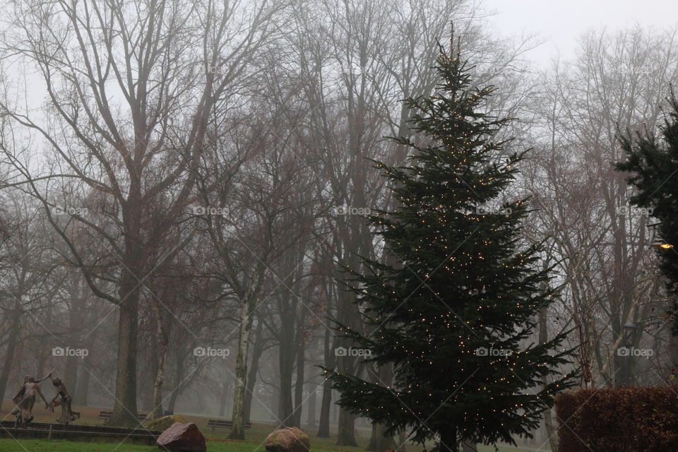 decorated christmas tree in fog