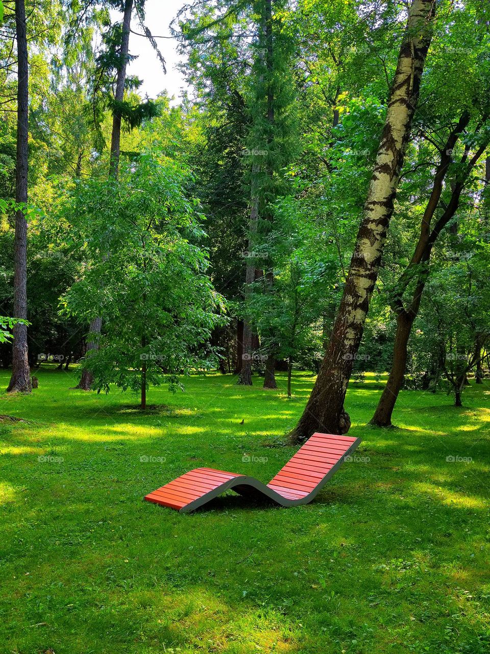 Summer landscape. Through the dense green trees, the sun's rays break through, which are visible on the green grass. Among the trees stands a wooden bench-bed for relaxing and sunbathing.