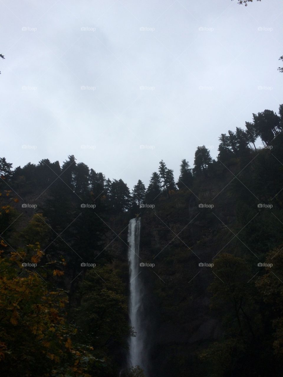 Mighty multnomah 