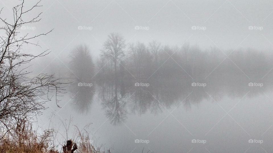 Foggy Reflections