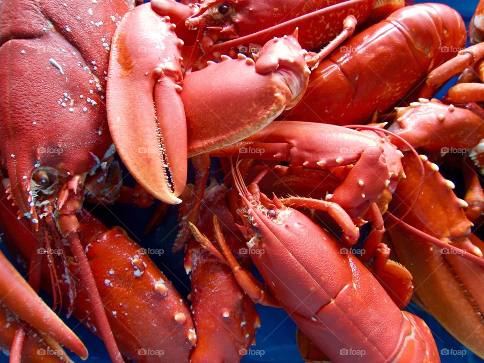 Red boiled lobster