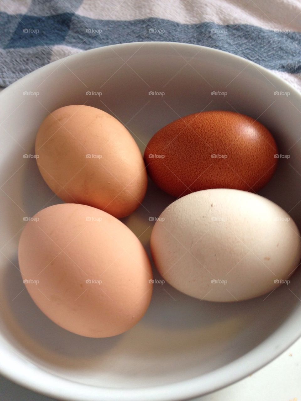 Fresh Eggs