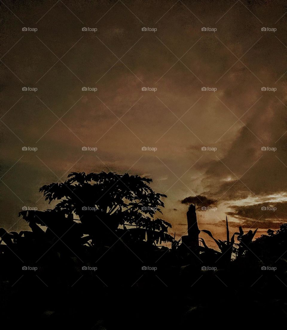 this vacation has made me a night crawler, moving about at night looking for captivating things to capture. this is beautiful though. the wonders of the night 