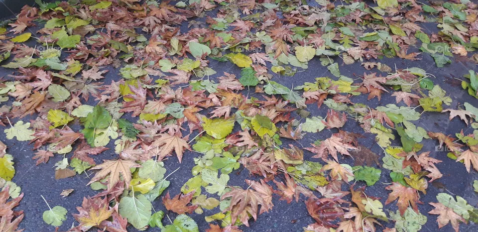 color