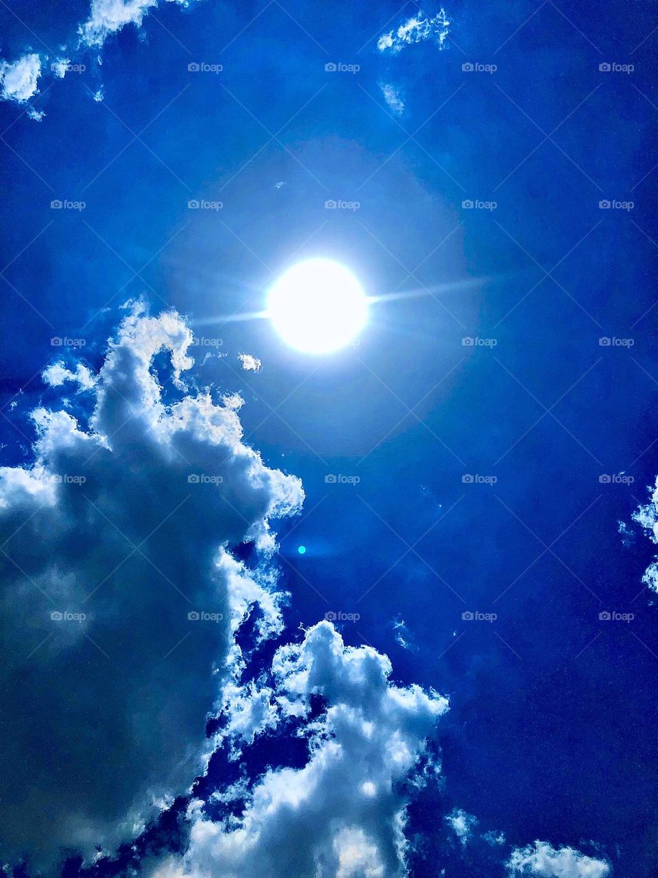 Photo of the month April