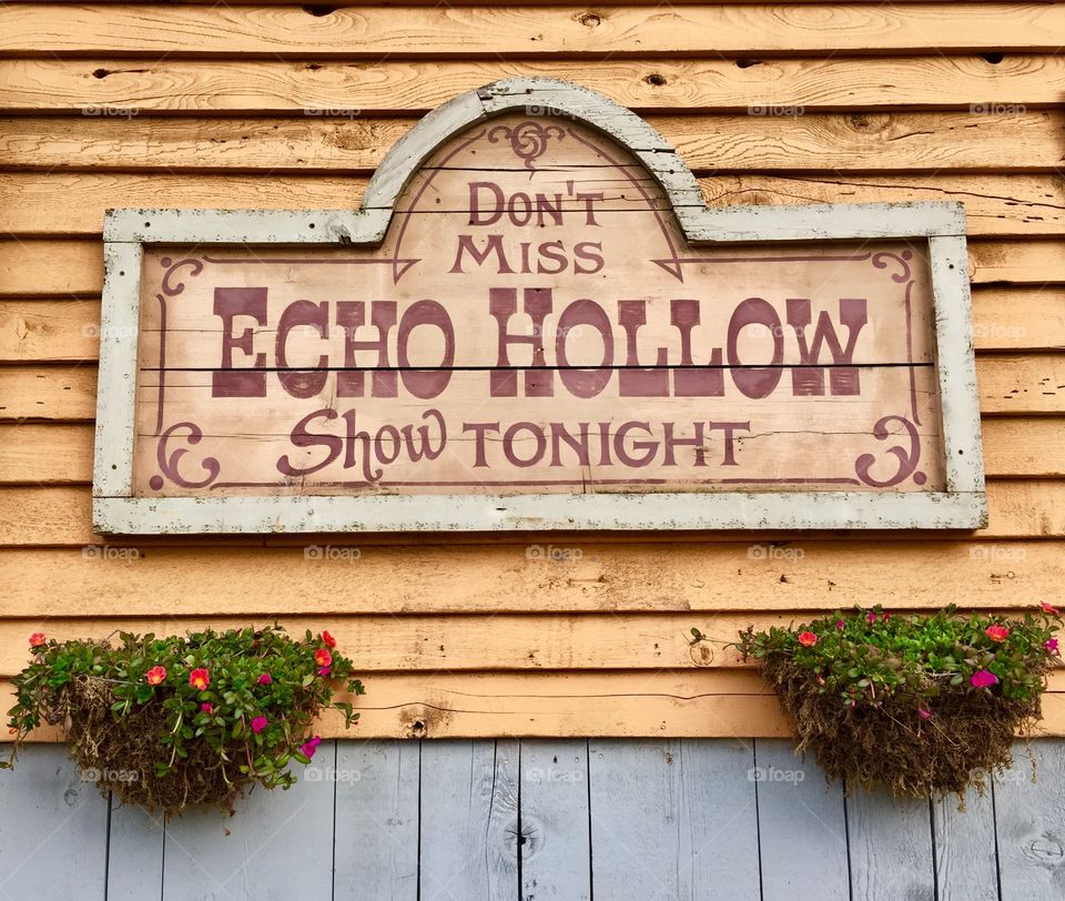Echo Hollow