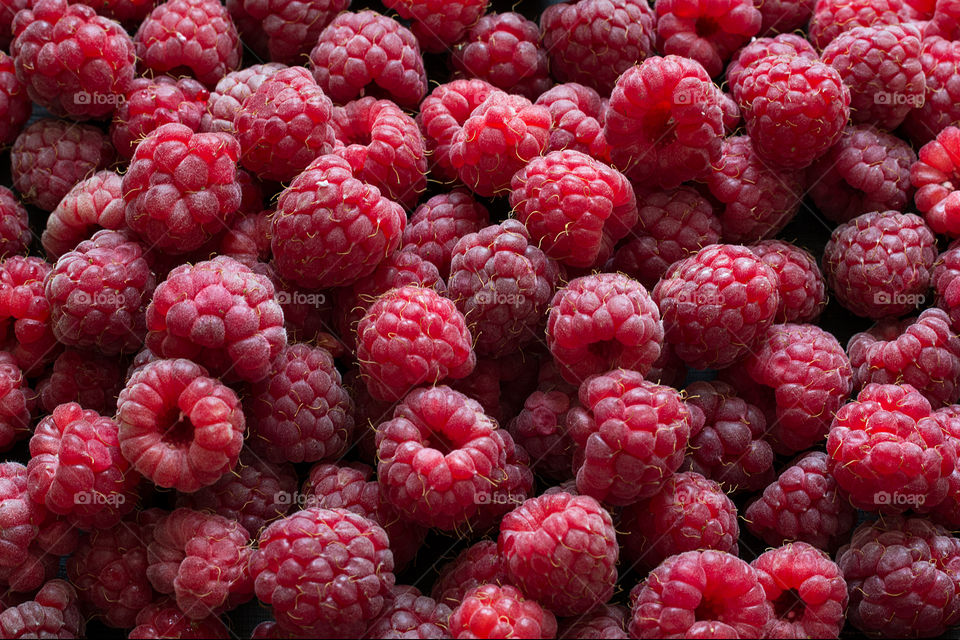 Raspberry background