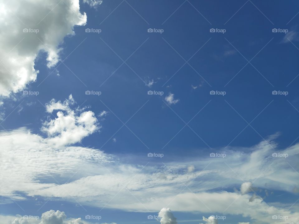 a image of beautiful nature