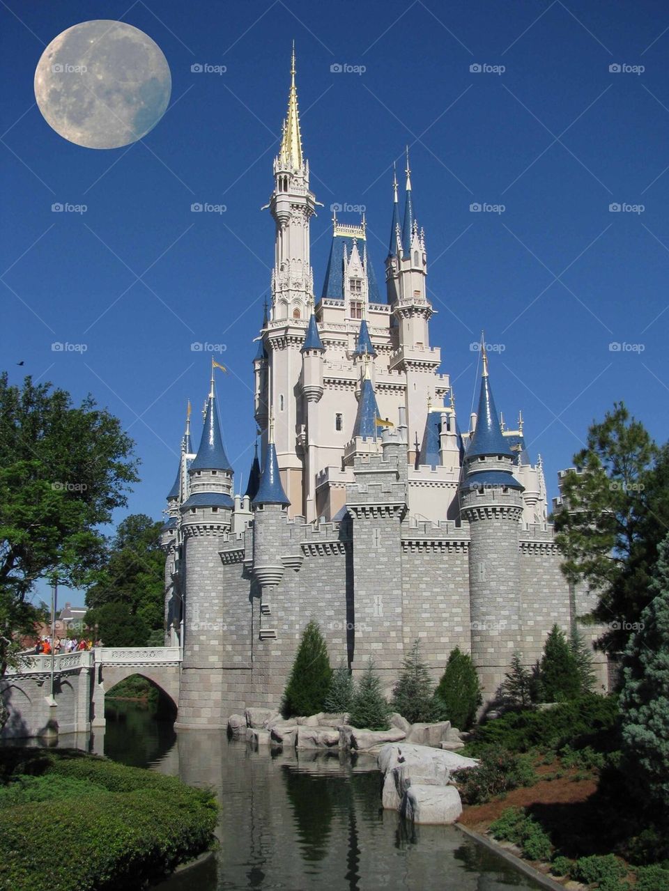 Moon over Disney