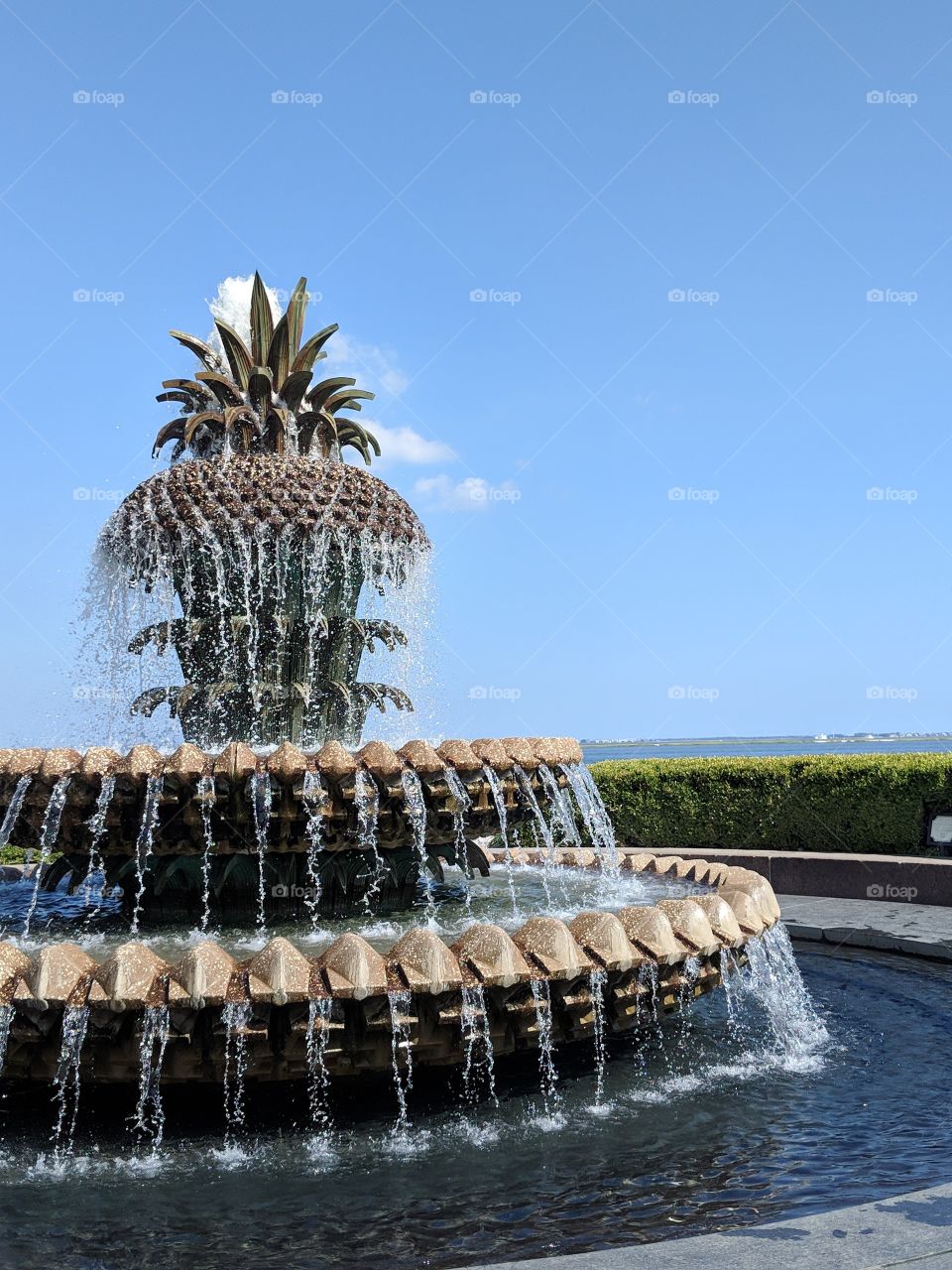Pineapple Fountain. 