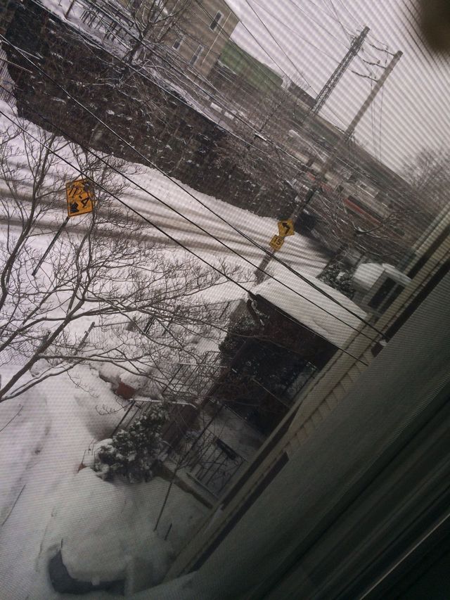 Snowday 
