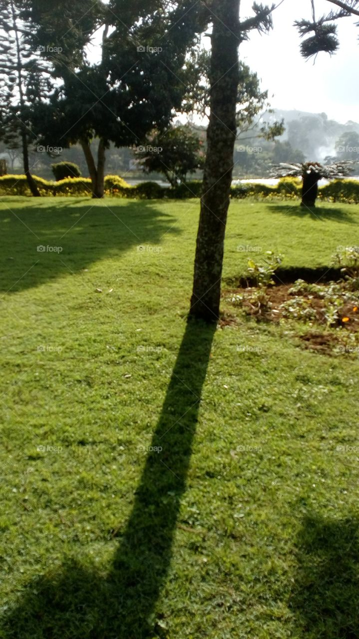 Pain in human life is temporary like this tree shadow!!!