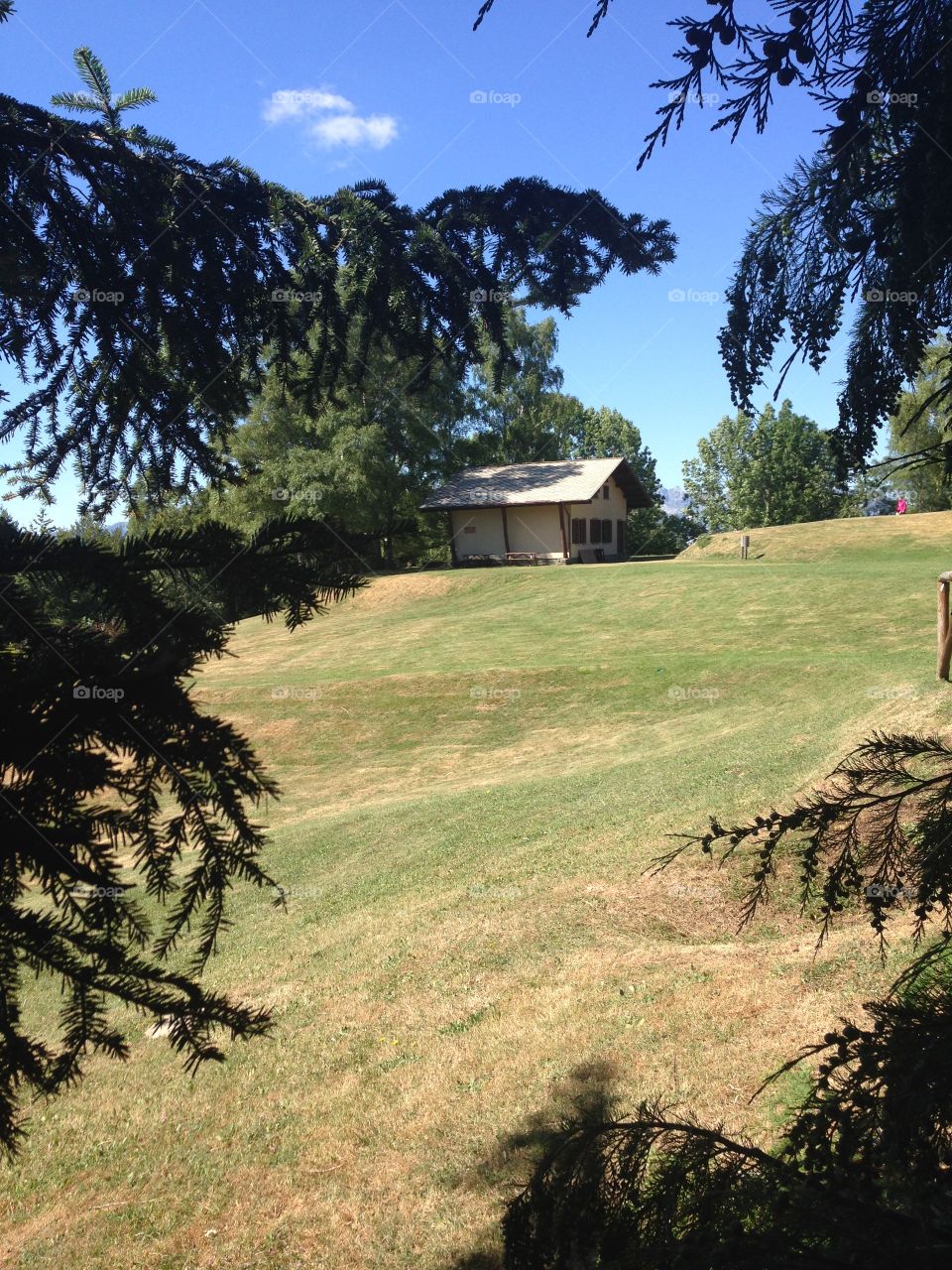 House on green land