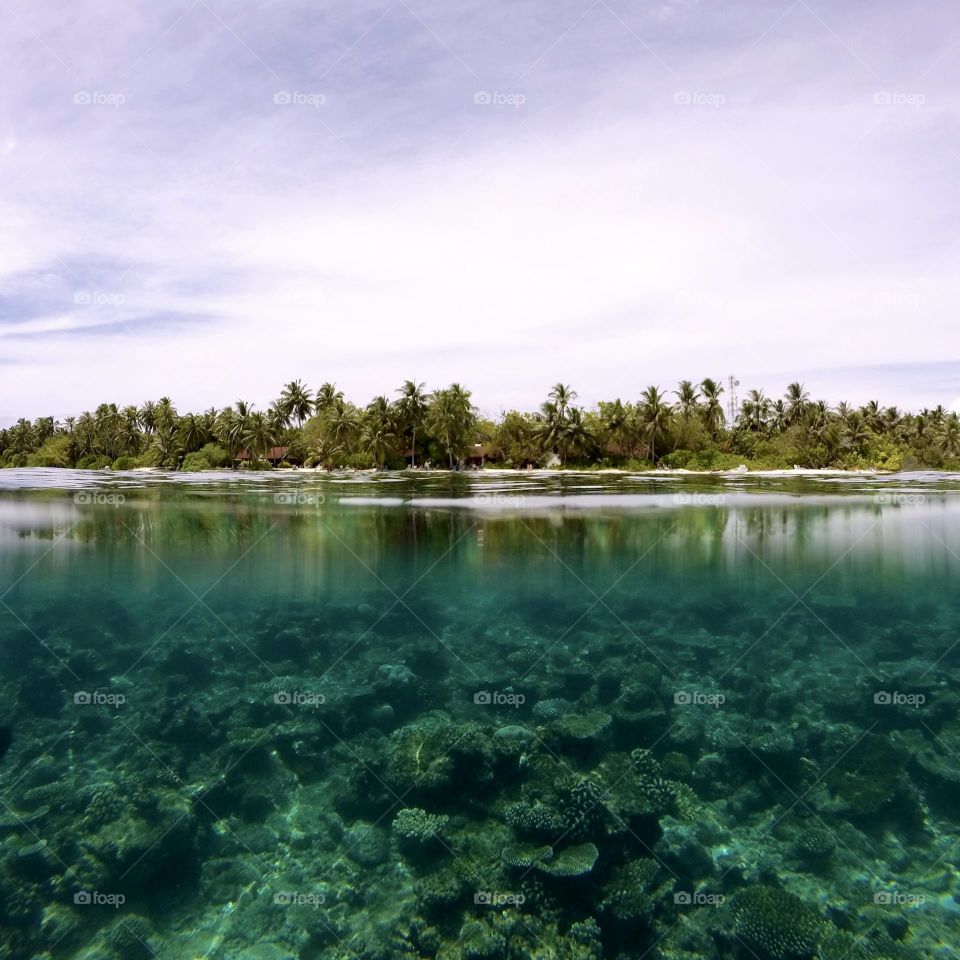 Island in the Maldives with its house reef