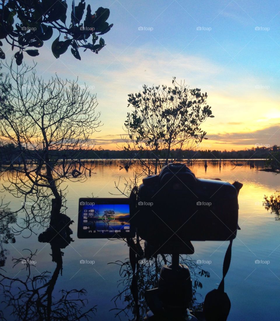 Water, Reflection, Tree, Lake, Sunset