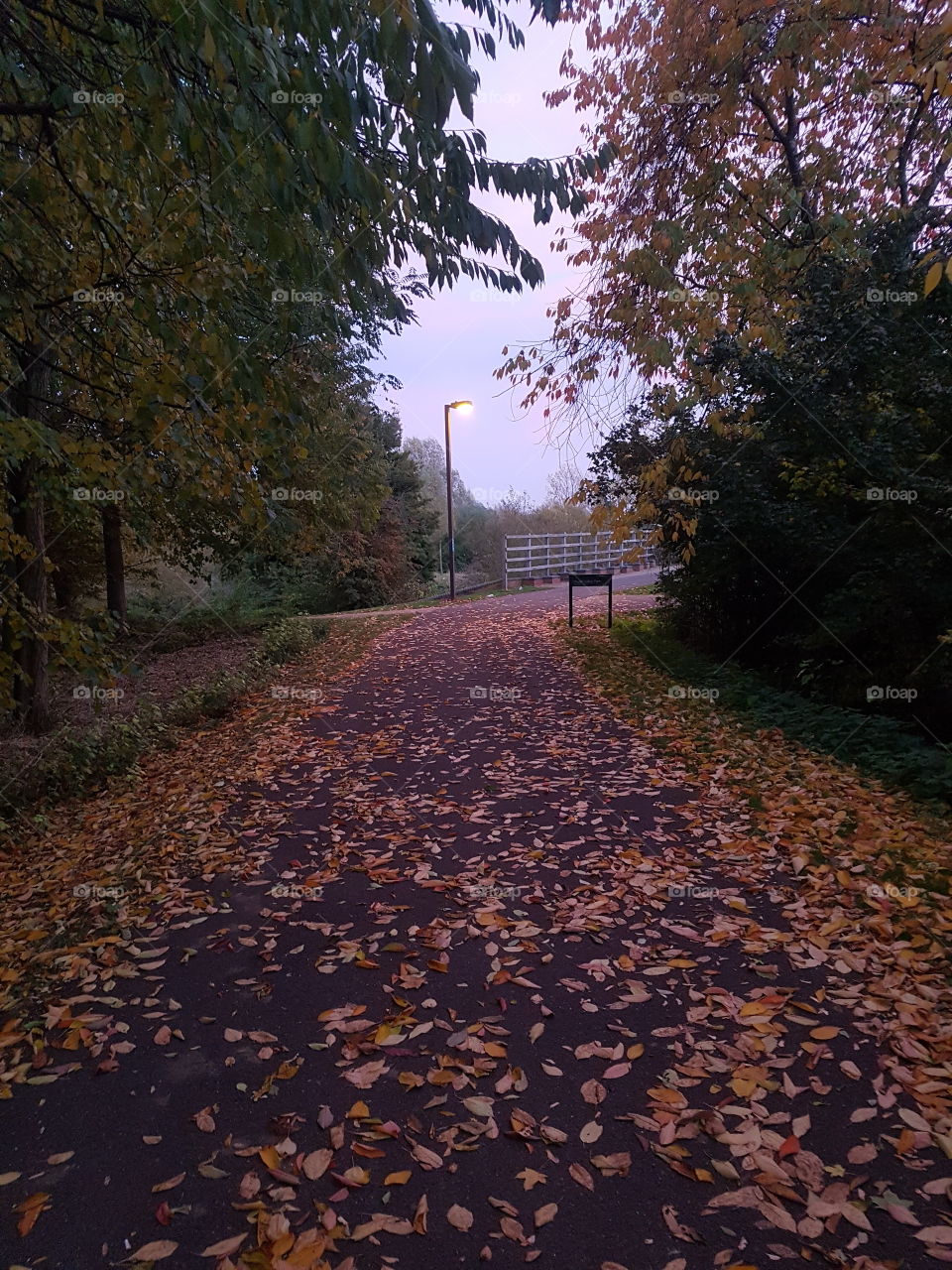 autumnal walk
