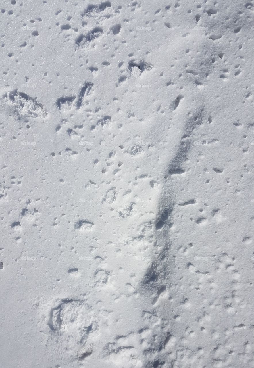 Patterns in the Snow