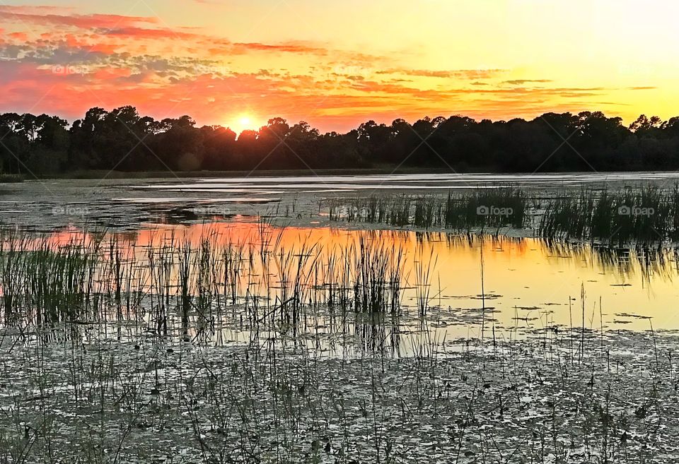A beautiful sunsets reflection on the wetlands marsh.