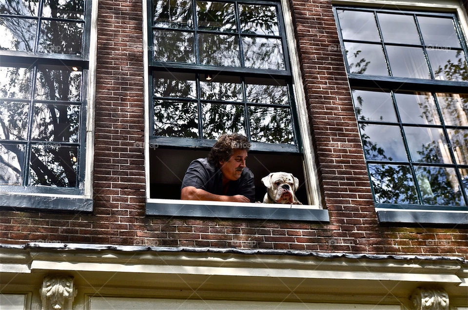 dog window funny man by slopes