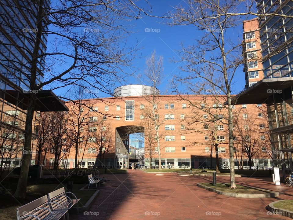 Northeastern University in Boston
