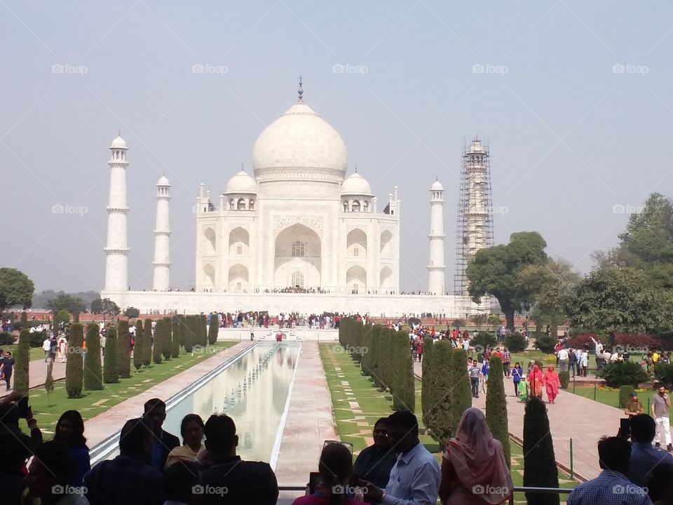taj