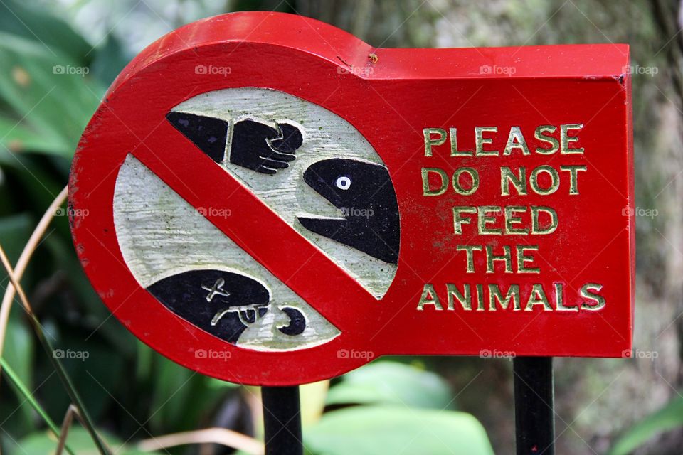 Sign do not feet the animal