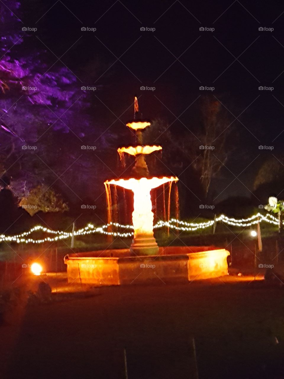 fountain in lights