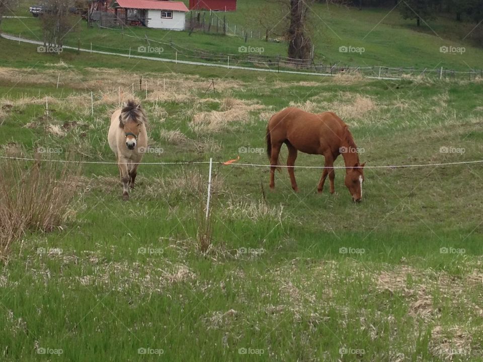 Mother and Son