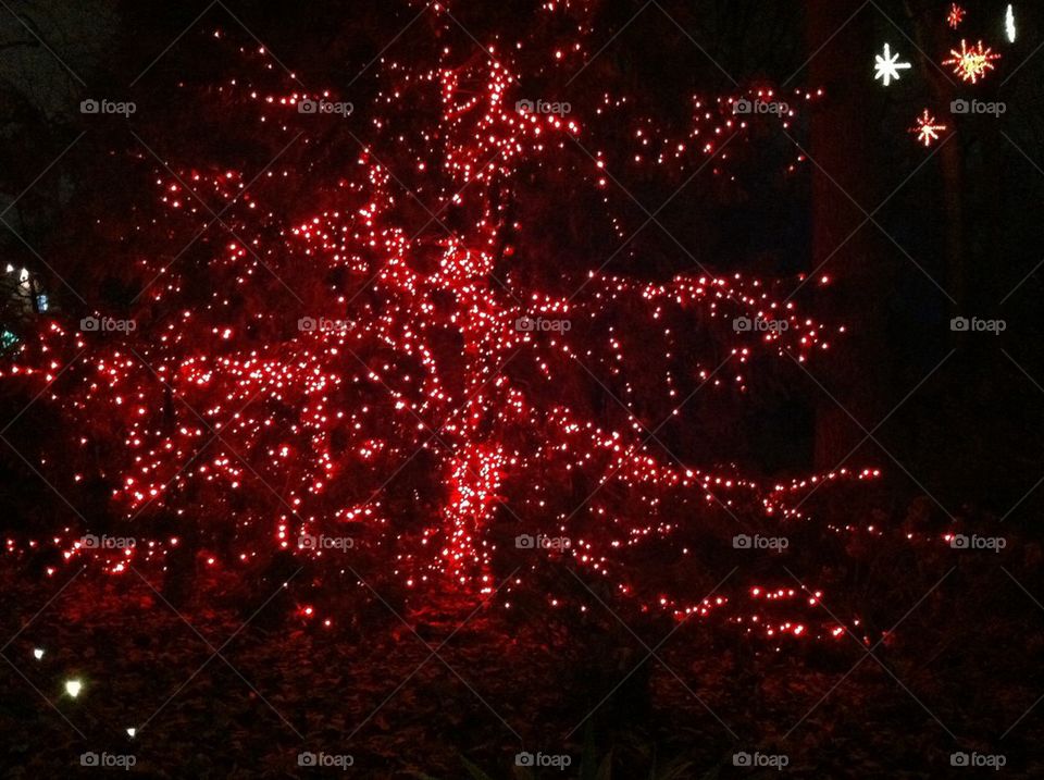 Lighted Red Tree