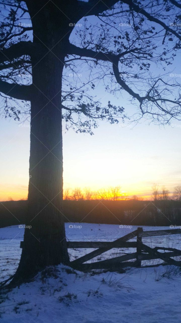 Rural winter sunset