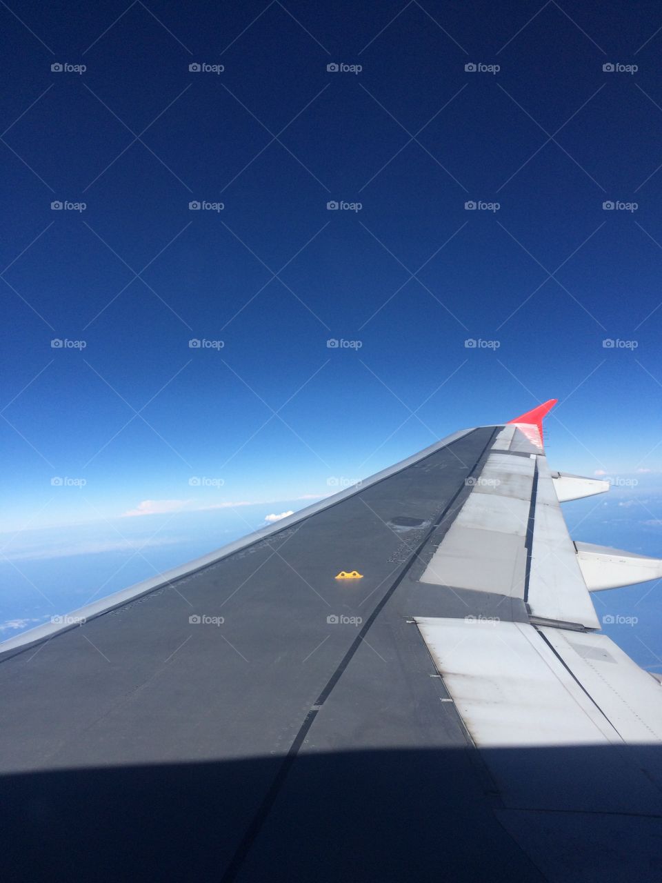 Airplane wing during flight