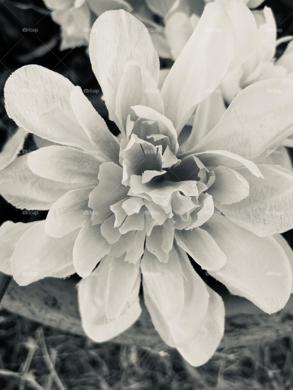 A black and white photo of a fake flower. 