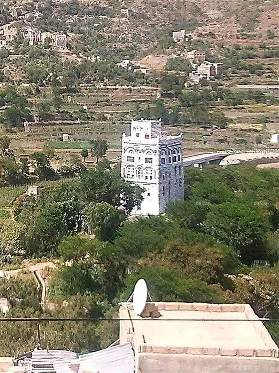 A very beautiful picture, and there is no better picture than it. There is no better picture of green herbs and colorful, red and white roses than it. Glory be to God, the natural and picturesque view, and there is no more