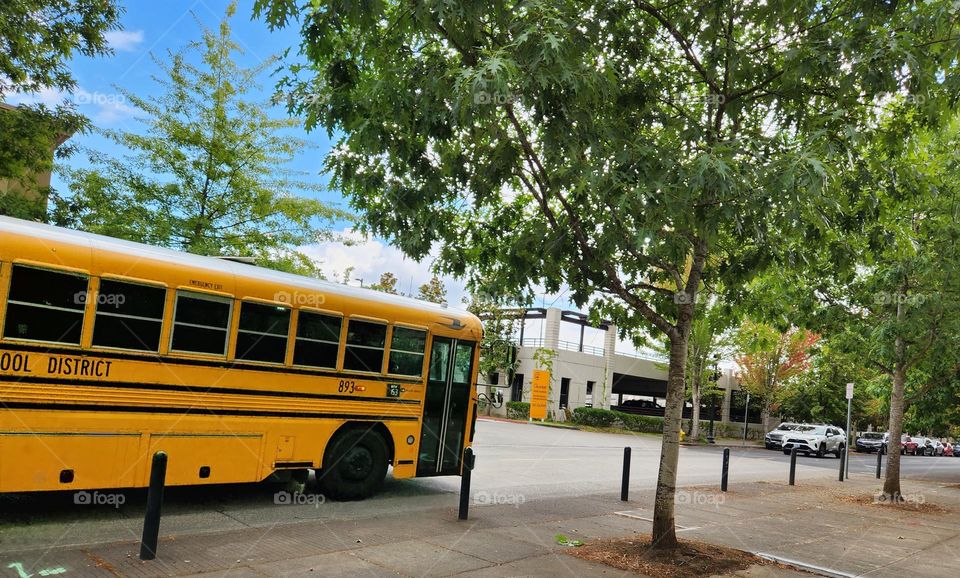 school bus driving through a suburban neighborhood on an August afternoon in Oregon