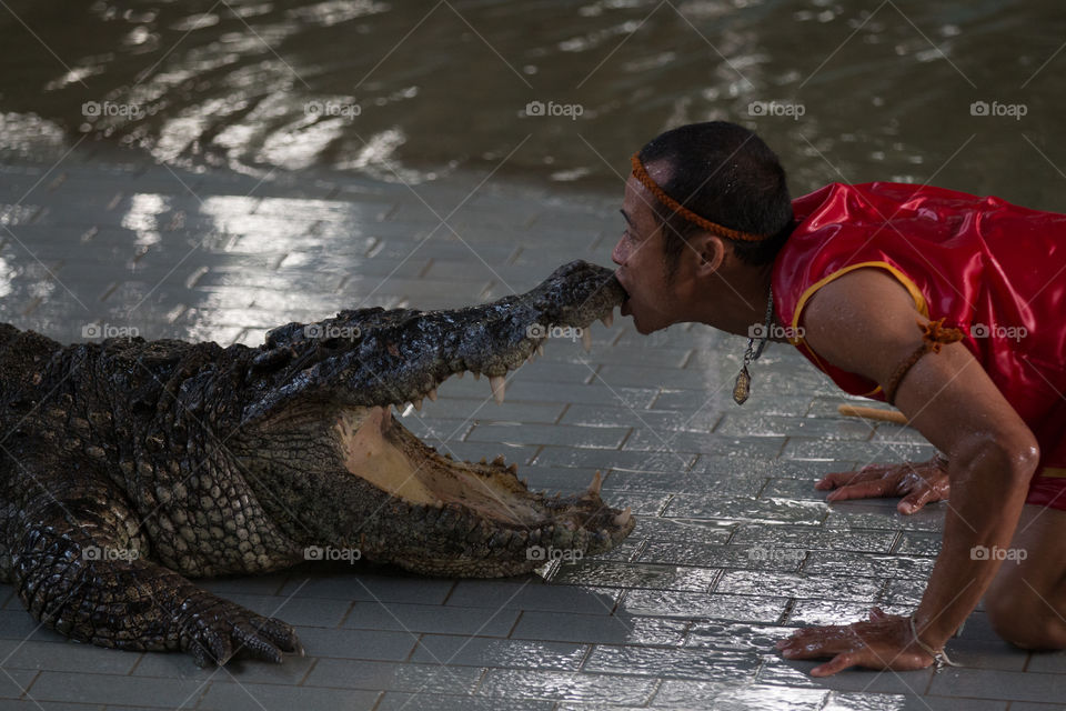 Water, Reptile, One, River, Crocodile