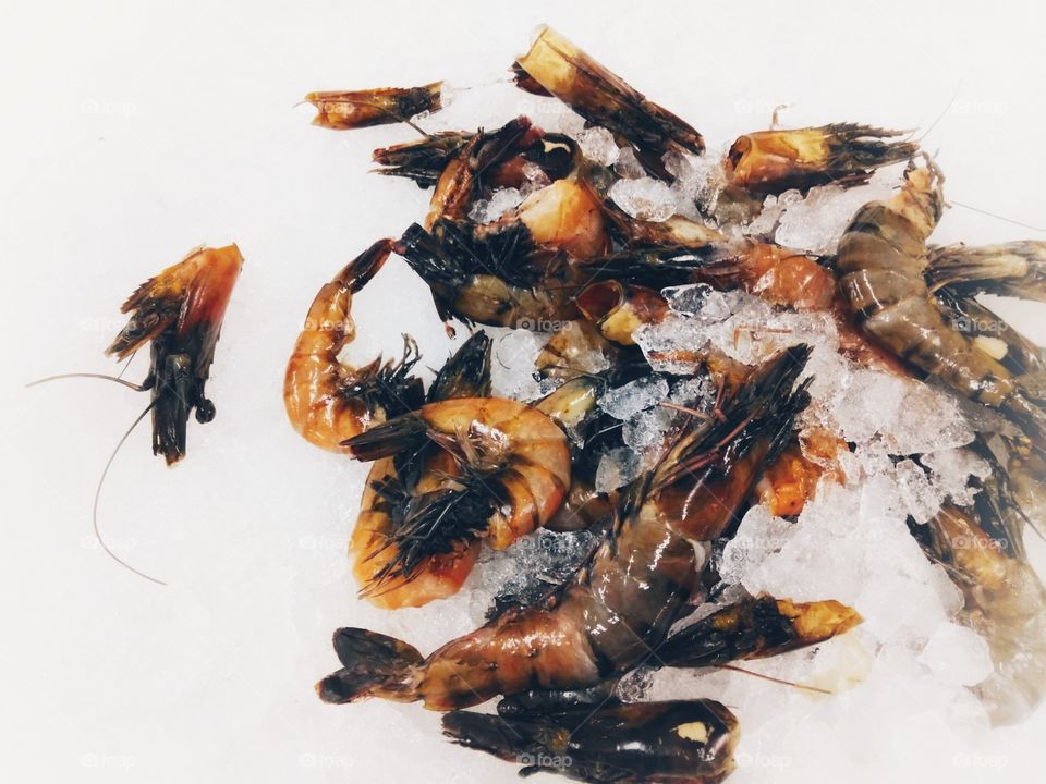 fresh seafood shrimp