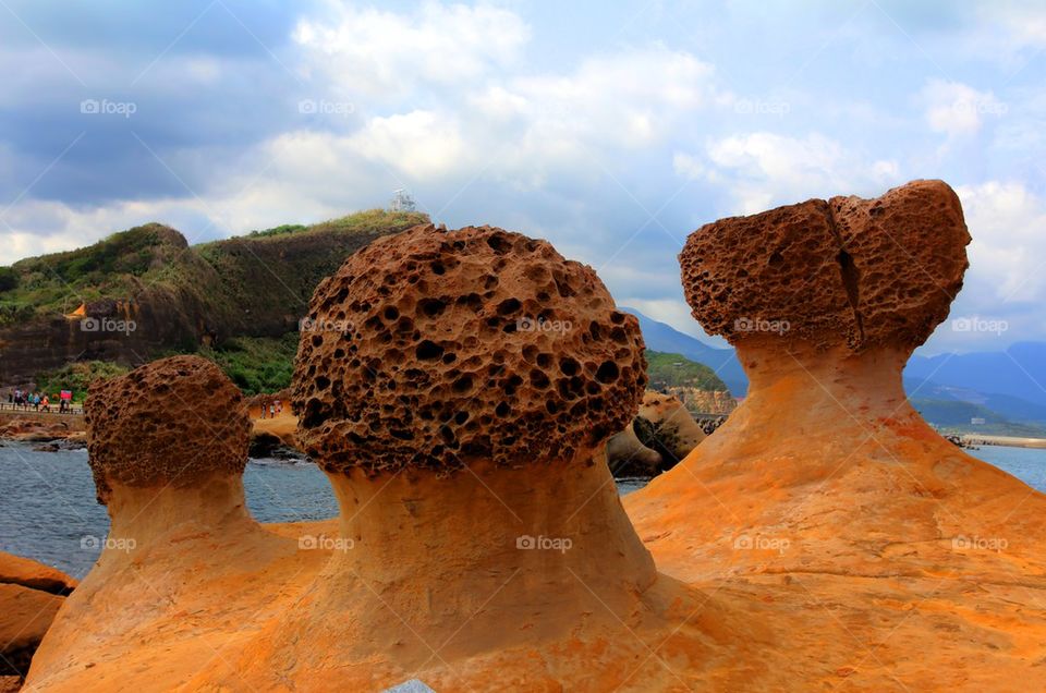 Mushroom Rocks