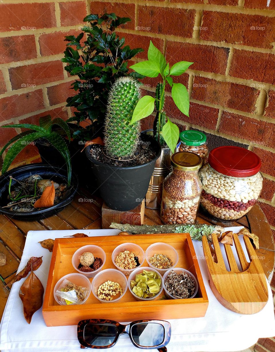 Fall is here now need to renew all staff plants and seeds a have to go to plant more veggies in my luxury garden