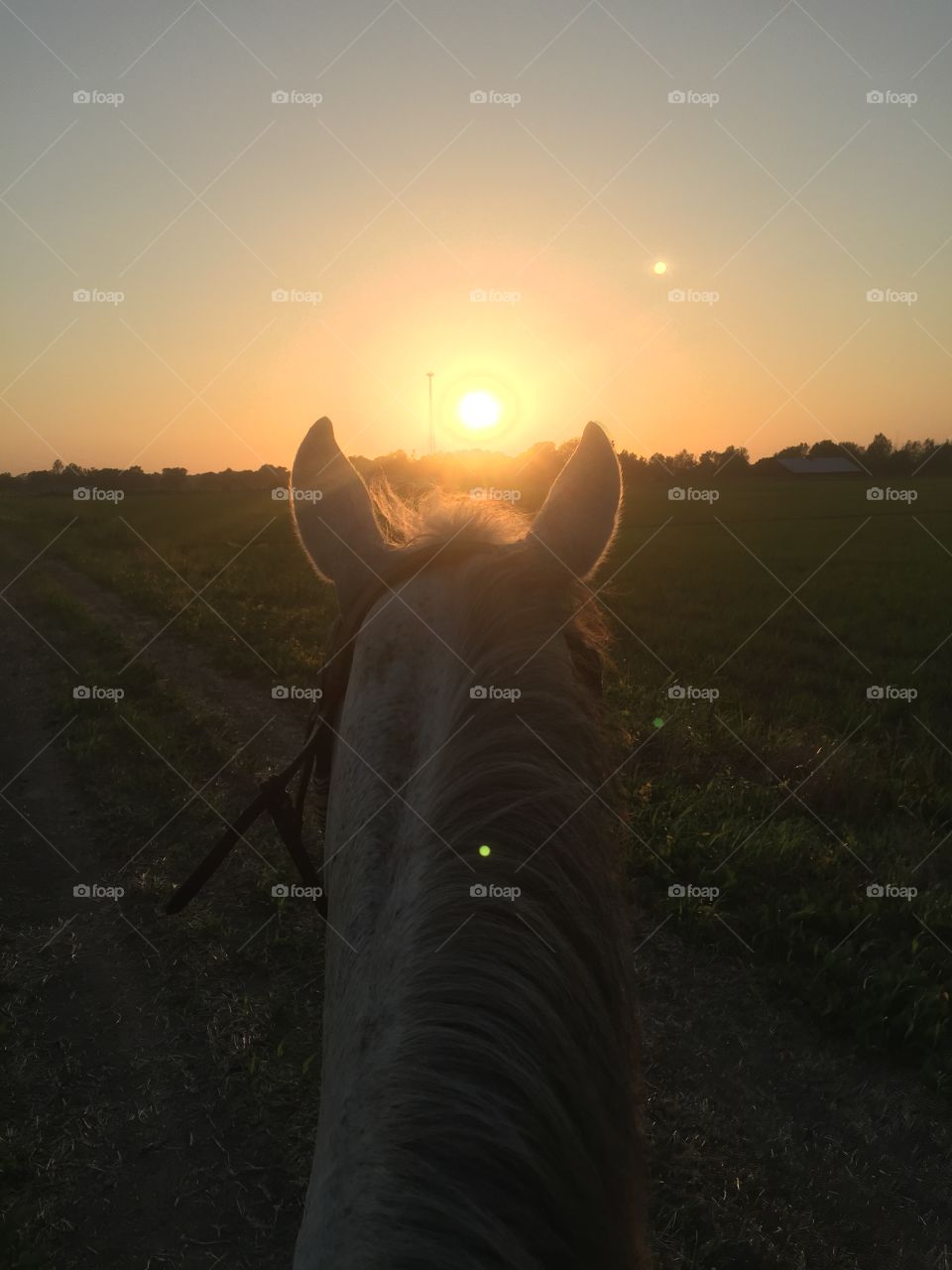 Horseback riding at sunset 