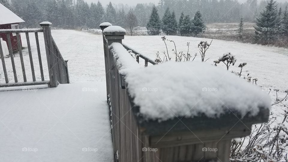 Snow, Winter, Cold, Frost, Ice