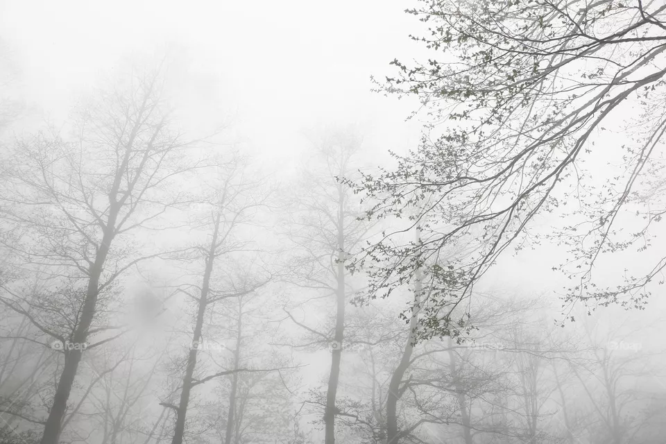 Clouds 