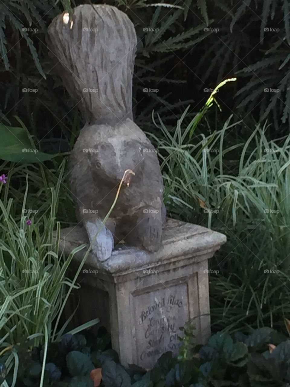 The Haunted Mansion at Disneyland. In Anaheim, California. Pet Cemetery and Immortal Cemetery. No Time in This Realm. Copyright Chelsea Merkley Photography 2019. 