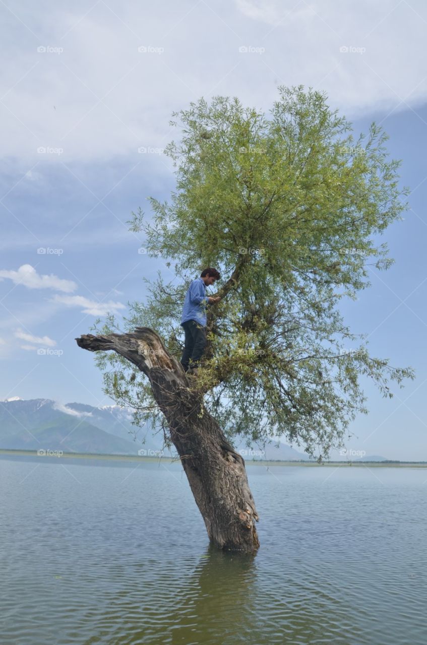 Water, Landscape, Tree, Nature, Sky